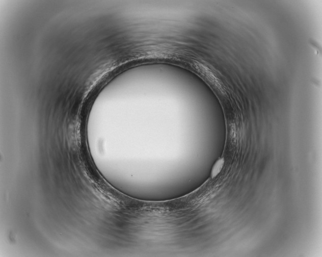 X0000097000676200802221521