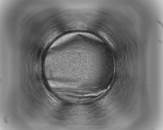 X0000097000677200802221521