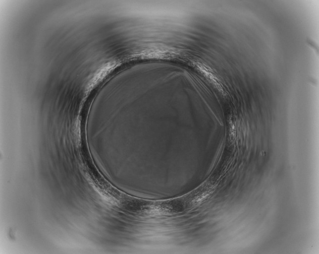 X0000097000678200802221521