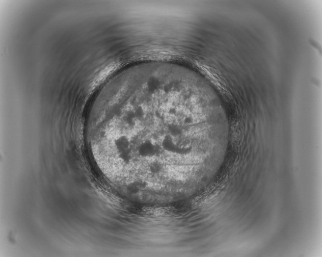 X0000097000679200802221521