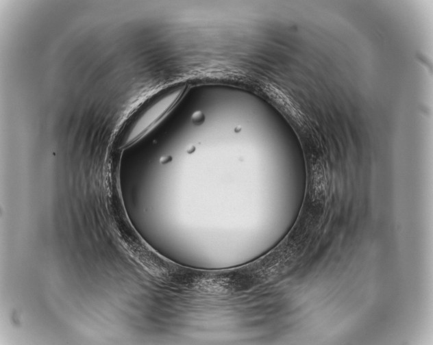 X0000097000680200802221521