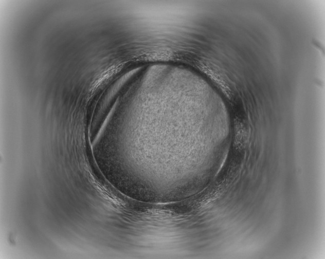 X0000097000681200802221521