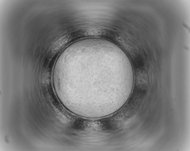 X0000097000683200802221521