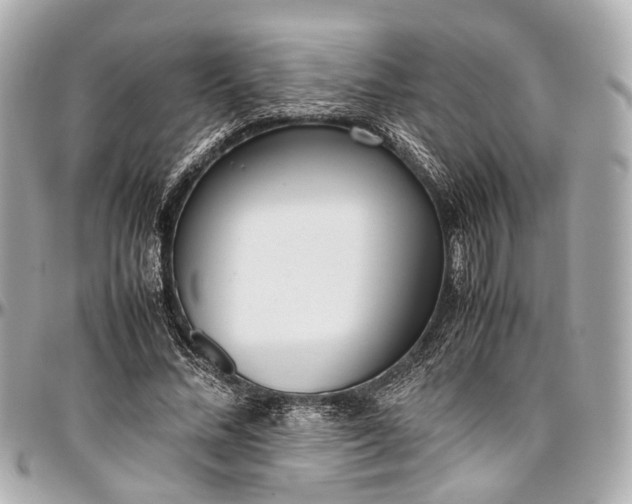 X0000097000684200802221521