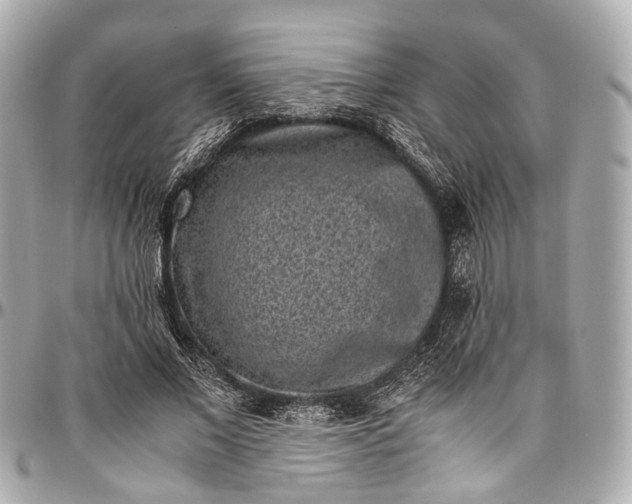 X0000097000685200802221521