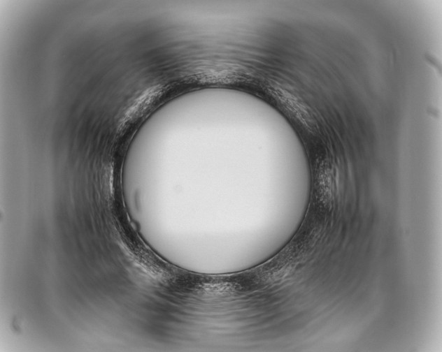 X0000097000686200802221521