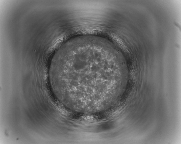 X0000097000687200802221521