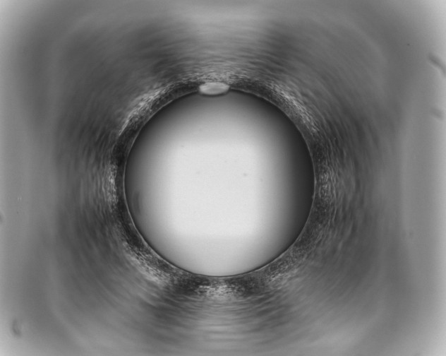 X0000097000688200802221521