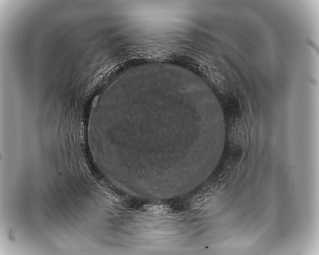 X0000097000689200802221521