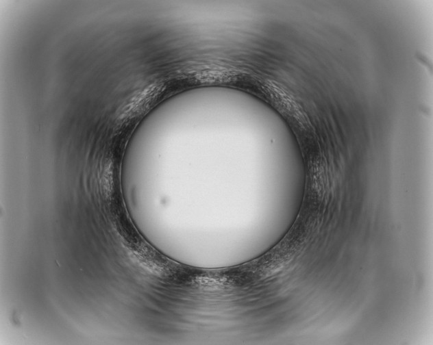 X0000097000690200802221521