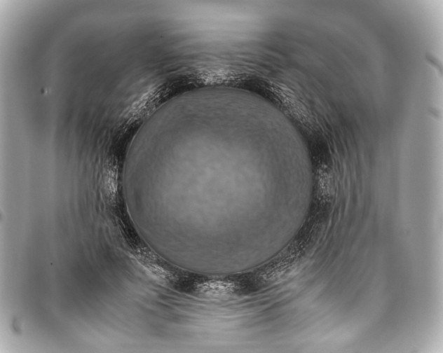 X0000097000691200802221521