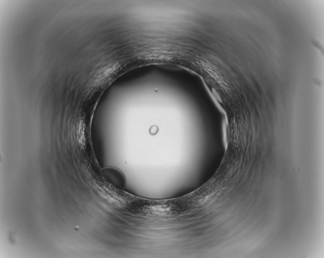 X0000097000692200802221521