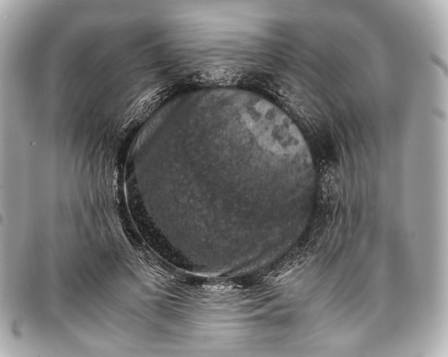 X0000097000693200802221521