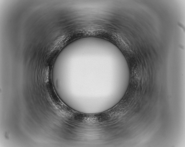 X0000097000694200802221521