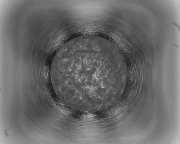 X0000097000695200802221521