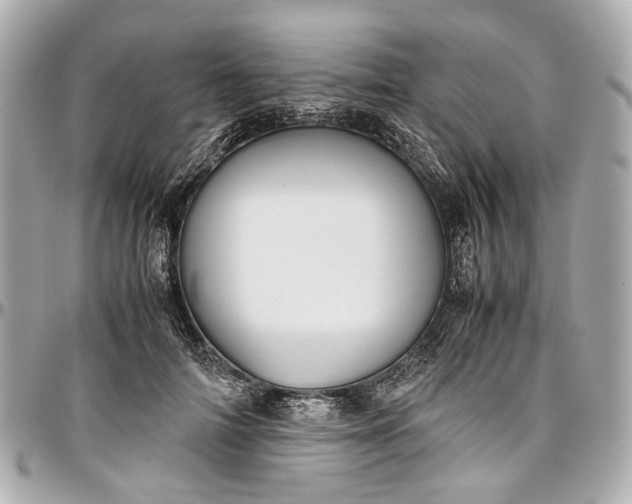 X0000097000698200802221521