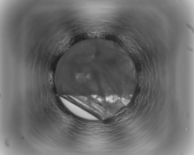 X0000097000699200802221521