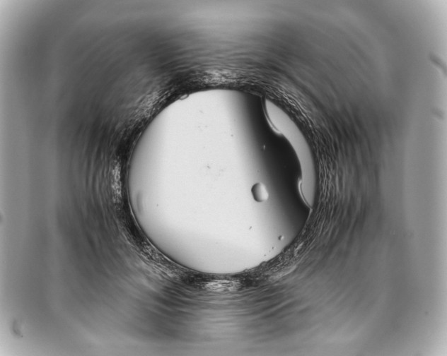 X0000097000700200802221521