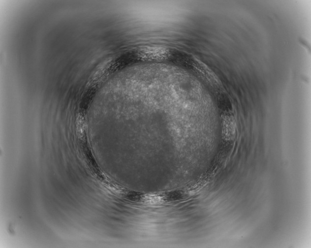 X0000097000701200802221521