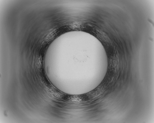 X0000097000702200802221521