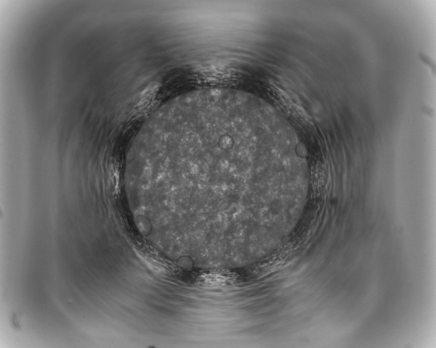 X0000097000703200802221521