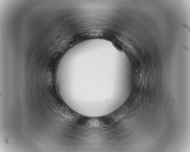 X0000097000704200802221521