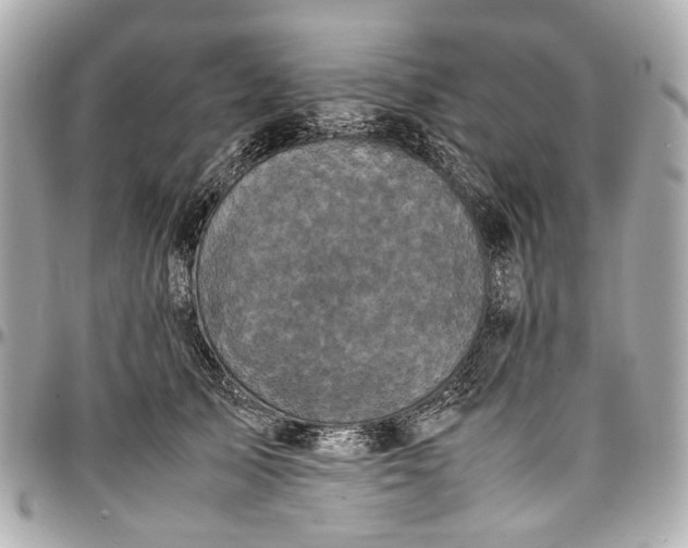 X0000097000705200802221521