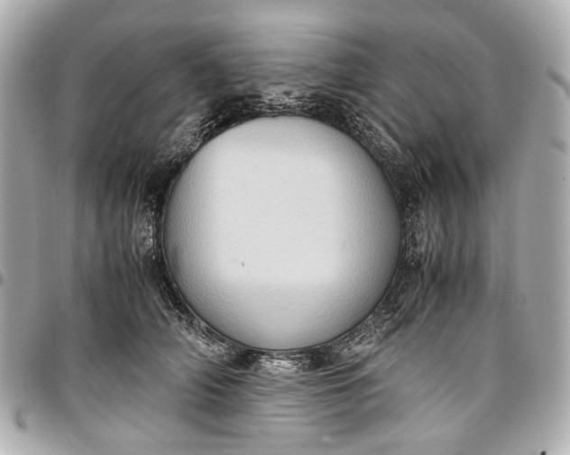 X0000097000706200802221521