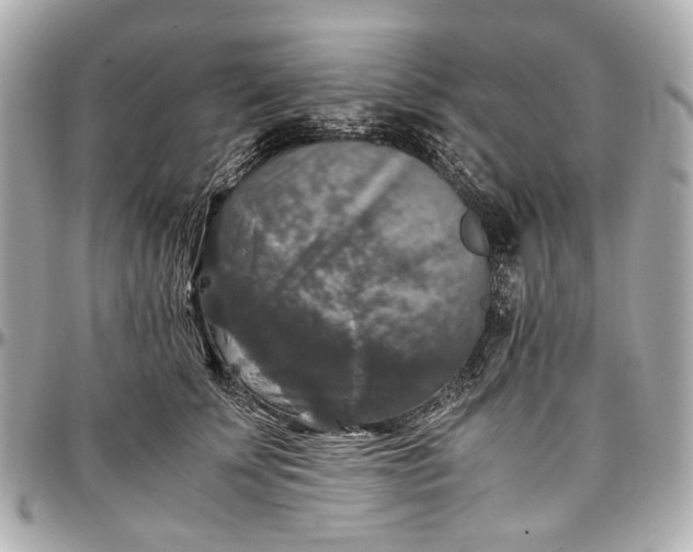 X0000097000707200802221521