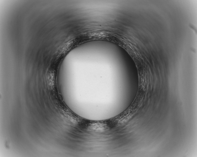 X0000097000708200802221521