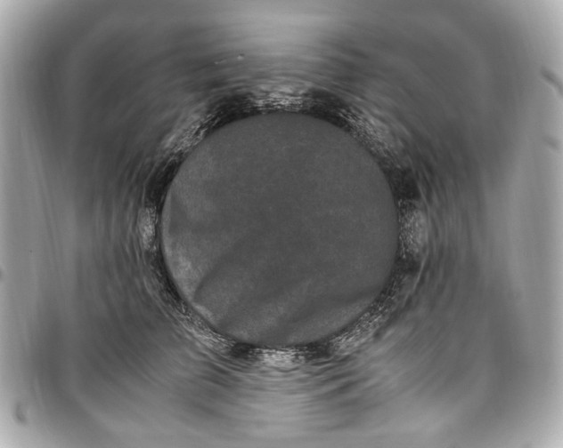 X0000097000709200802221521