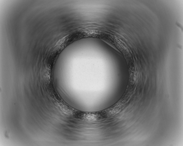 X0000097000710200802221521