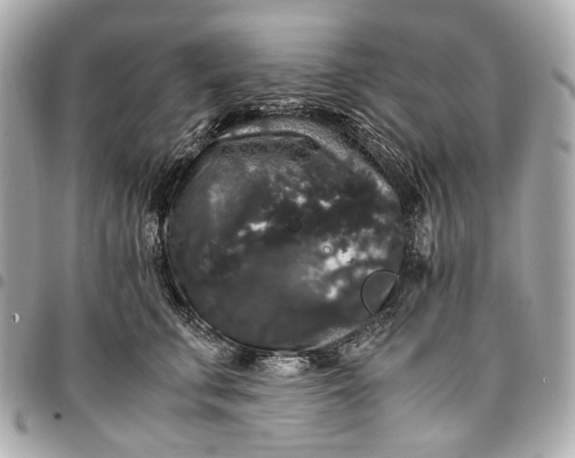 X0000097000711200802221521