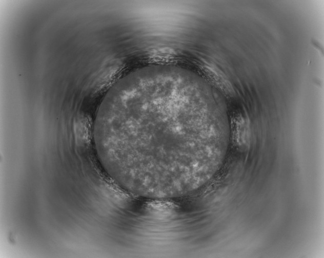 X0000097000712200802221521