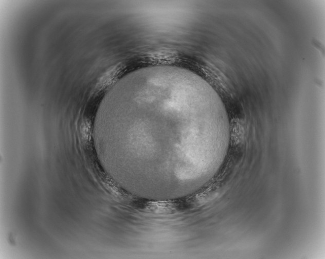 X0000097000713200802221521