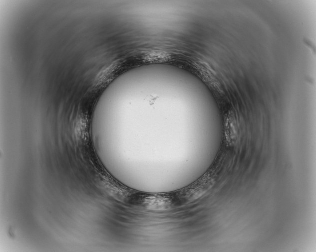 X0000097000714200802221521