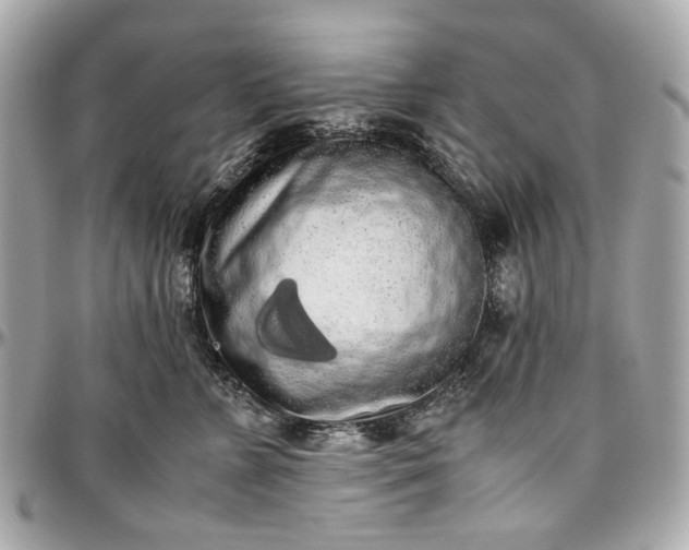 X0000097000715200802221521