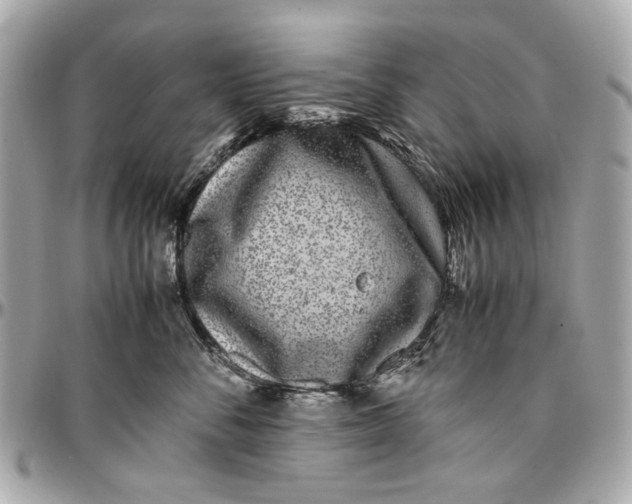 X0000097000716200802221521