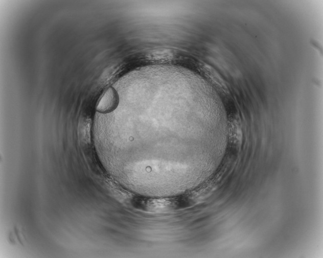 X0000097000717200802221521