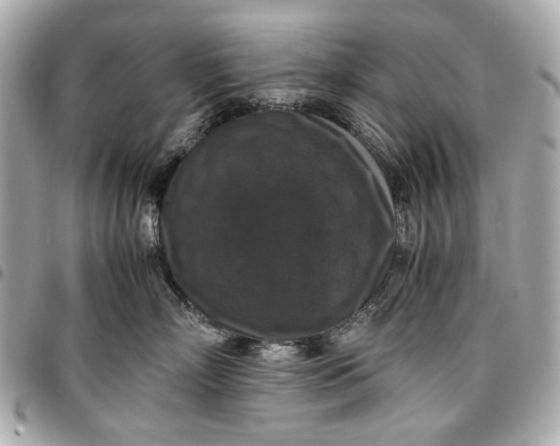 X0000097000718200802221521