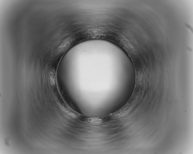 X0000097000719200802221521