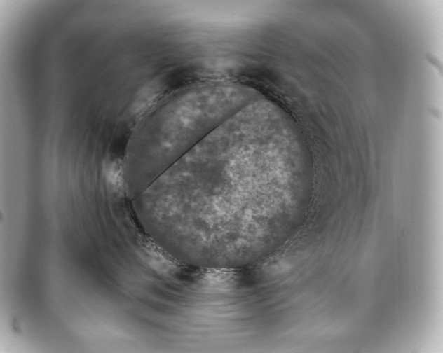 X0000097000720200802221521