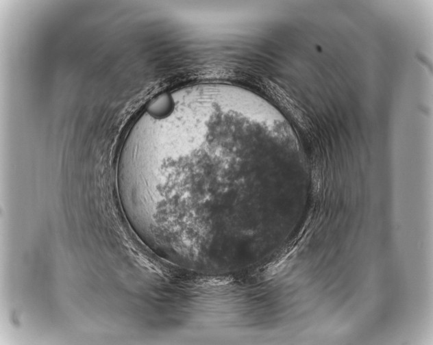 X0000097000721200802221520