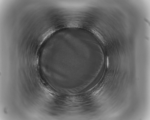 X0000097000723200802221520