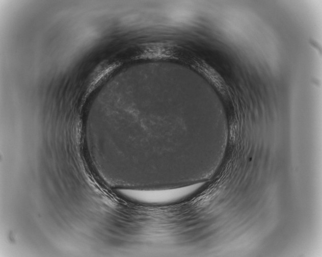 X0000097000724200802221520