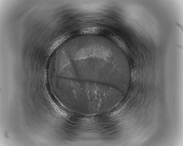 X0000097000725200802221520