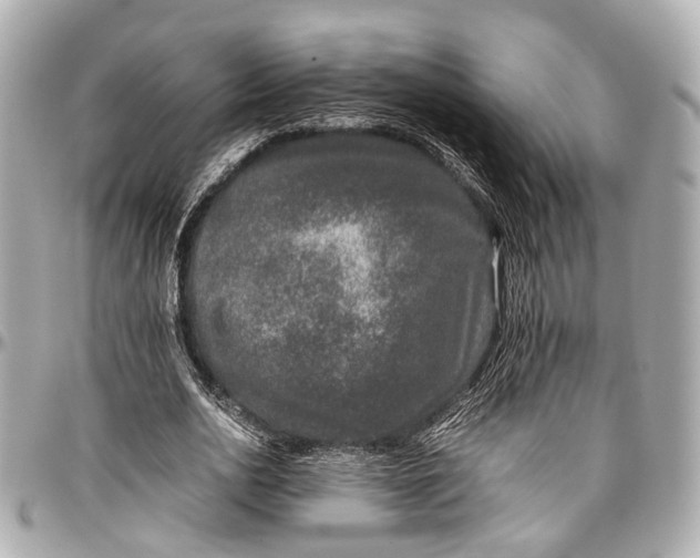 X0000097000726200802221520