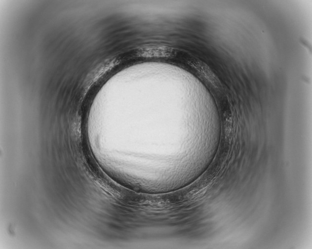 X0000097000727200802221520