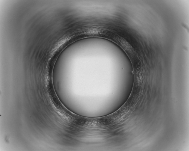 X0000097000728200802221520