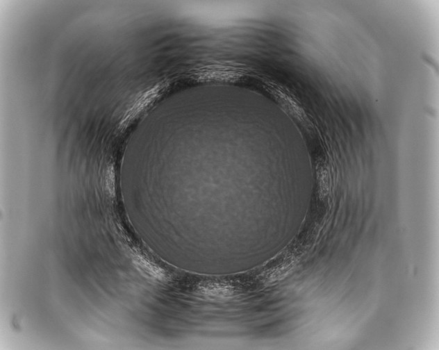 X0000097000729200802221520